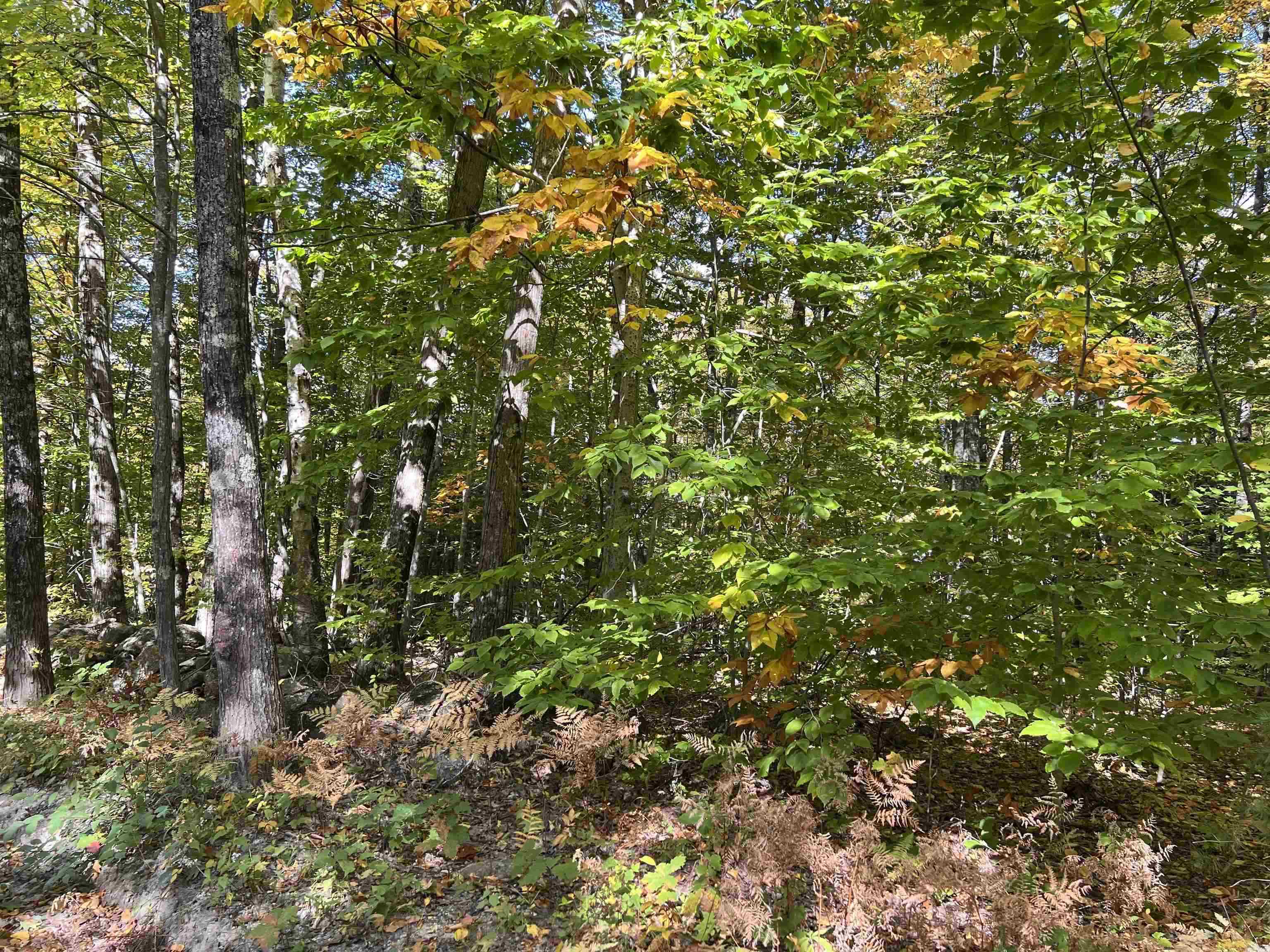 Peasley Road Henniker, NH 03242 - Photo 12 of 13