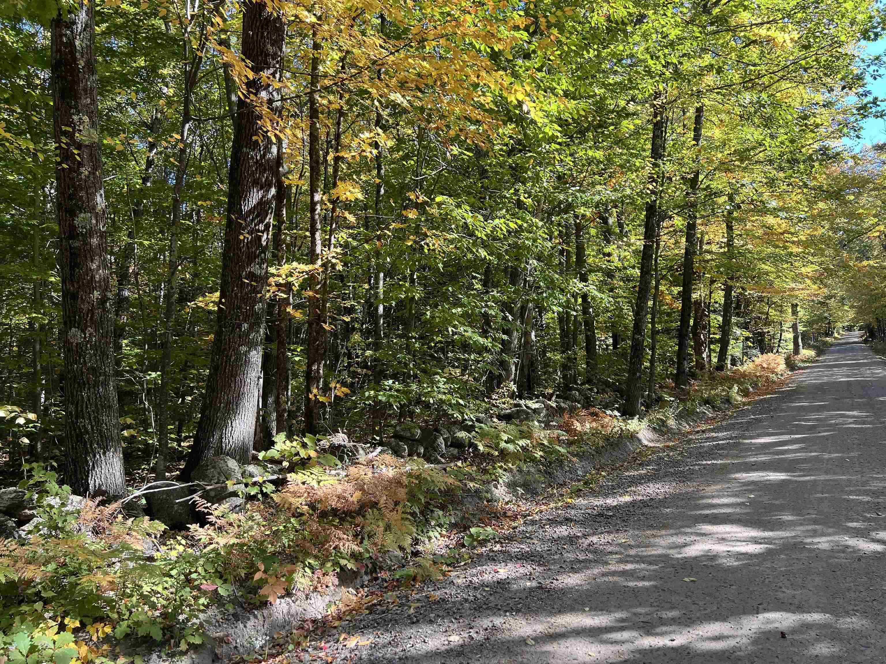 Peasley Road Henniker, NH 03242 - Photo 2 of 13