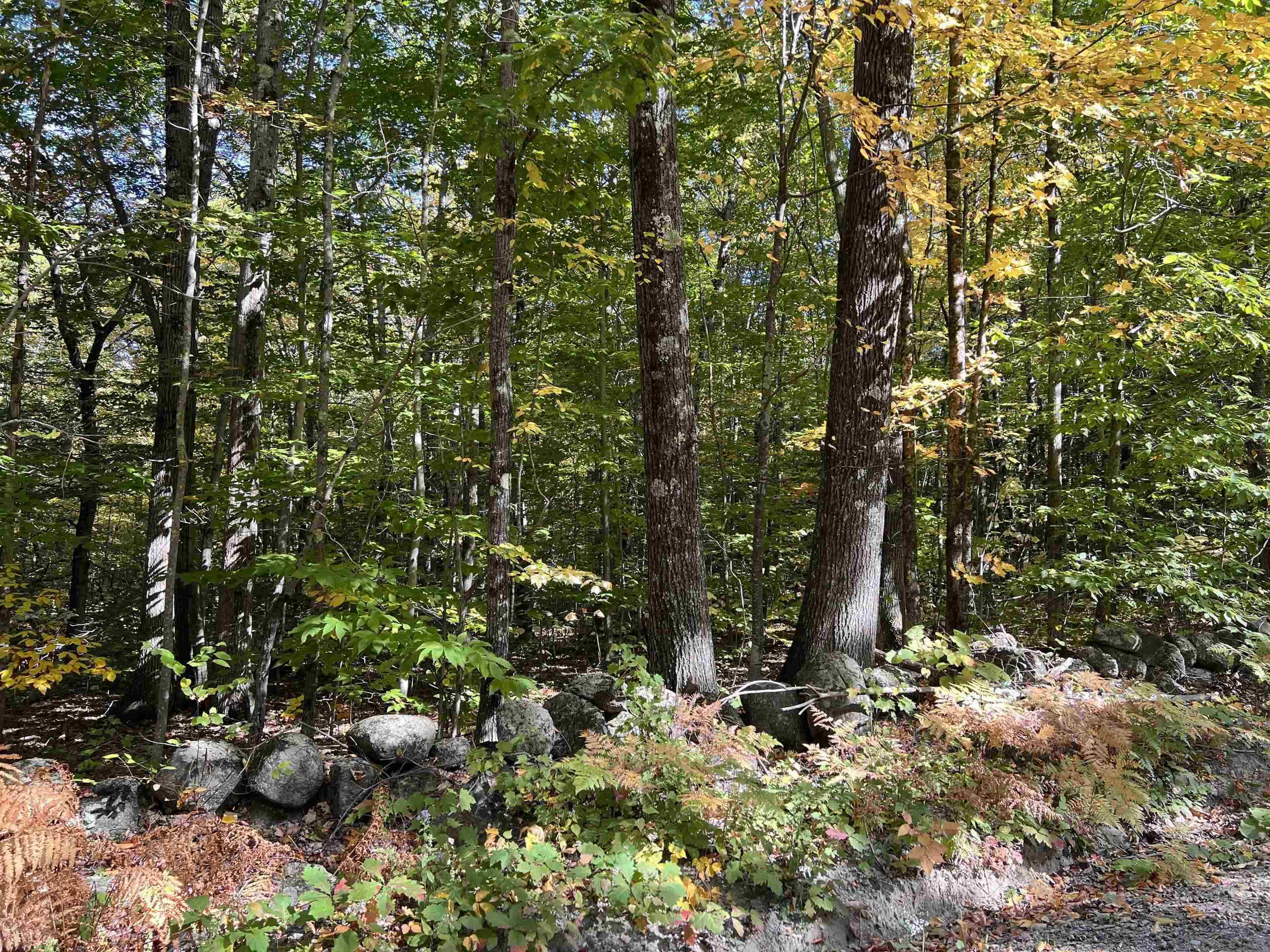 Peasley Road Henniker, NH 03242 - Photo 3 of 13