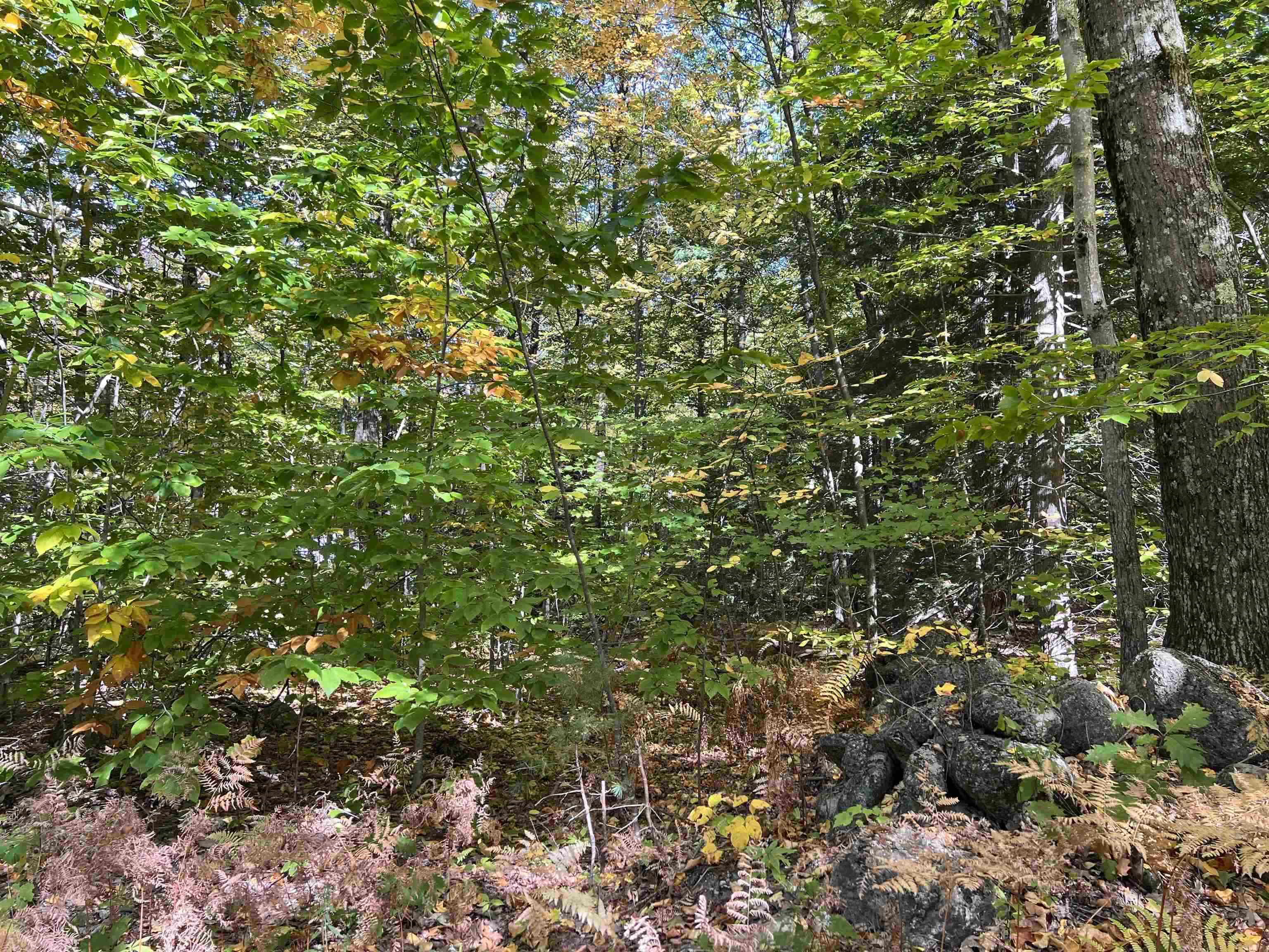 Peasley Road Henniker, NH 03242 - Photo 6 of 13