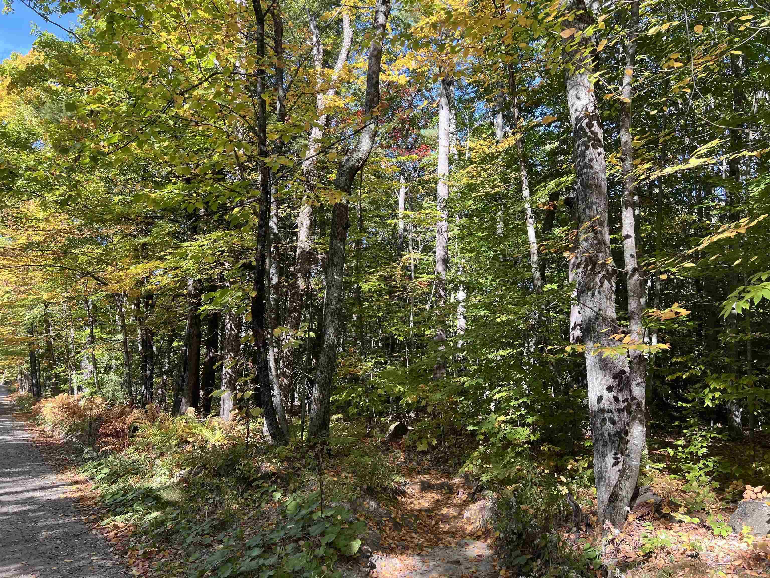 Peasley Road Henniker, NH 03242 - Photo 8 of 13