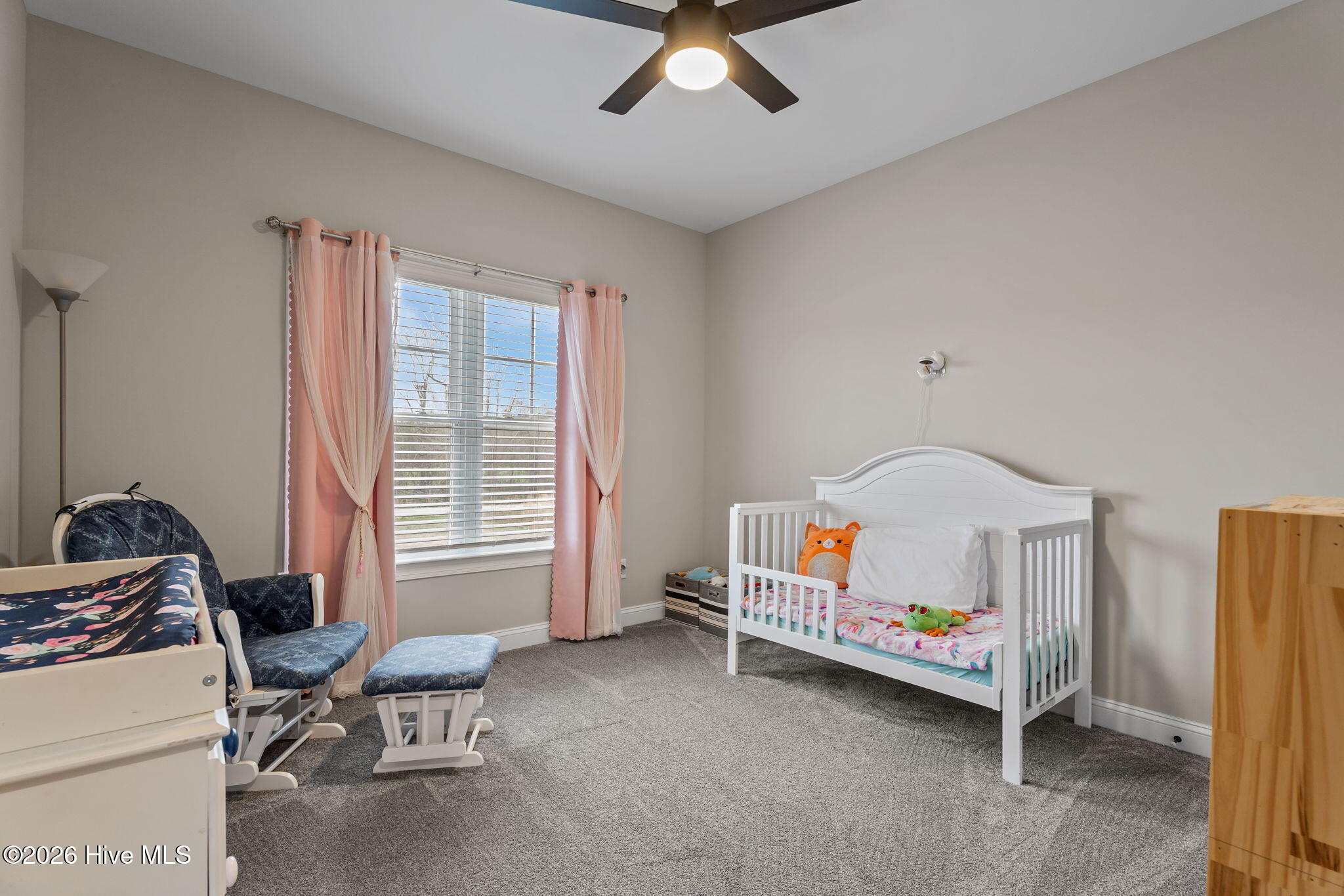 4367 North Browntown Road Battleboro, NC 27809 - Photo 23 of 47 41-web-or-mls-DSC08185
