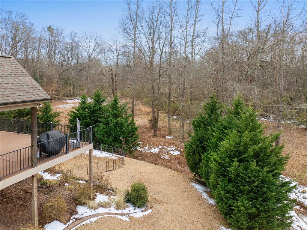 10 Colonel Storrs Court Greer, SC 29650 - Photo 46 of 48