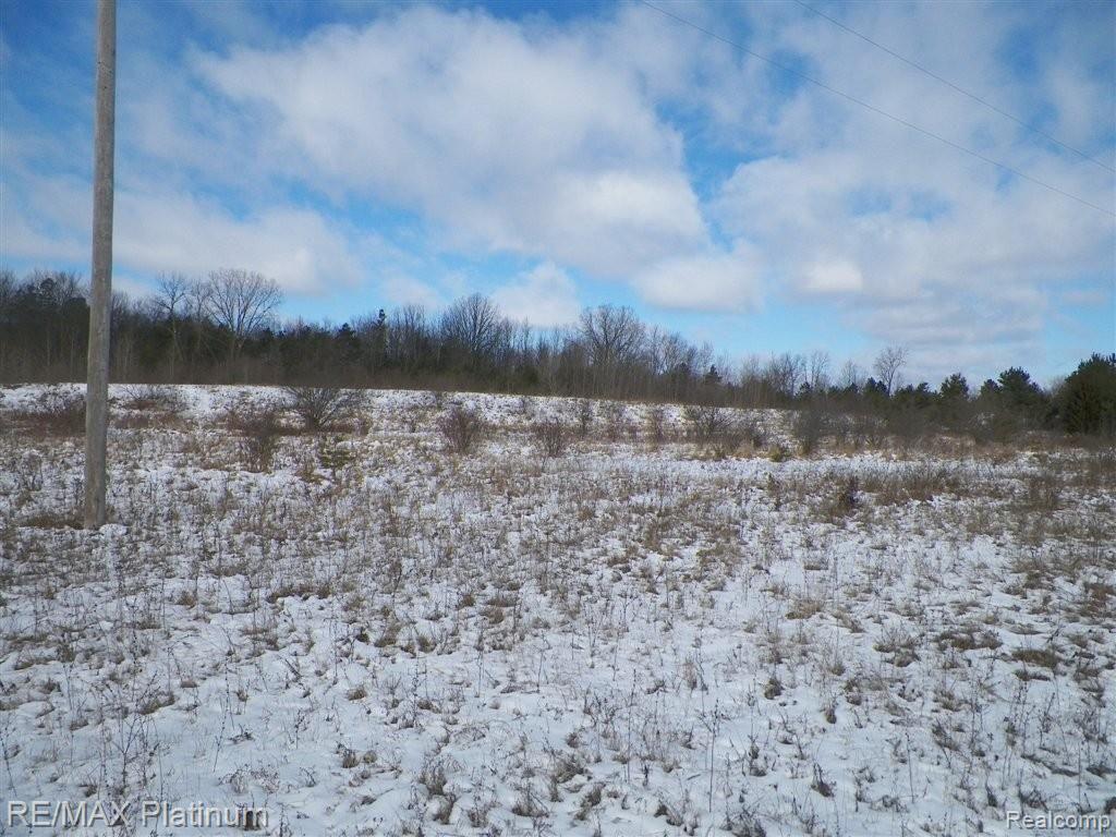 V/l West Willard Road Birch Run, MI 48415 - Photo 15 of 19 100_1492.JPG