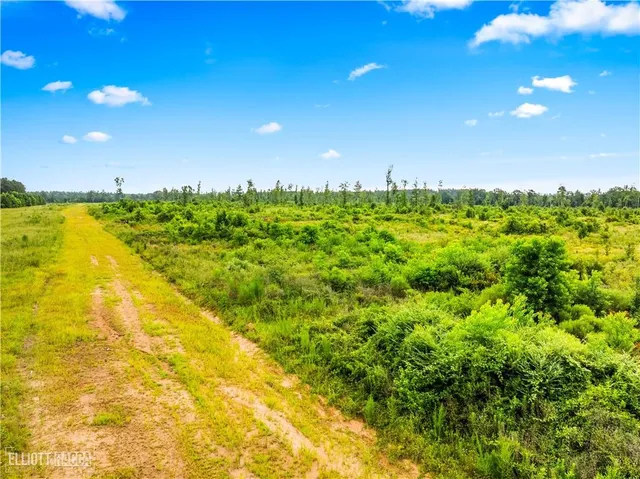 $356,000 | 0 McNary Cutoff Road, Glenmora, LA 71433