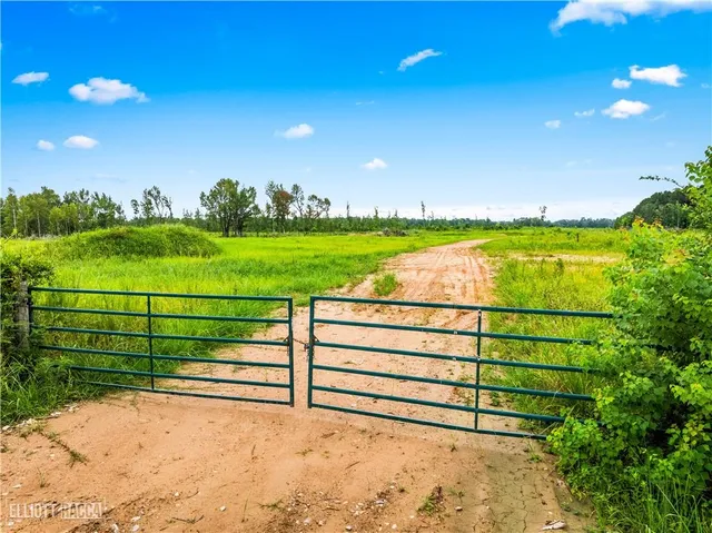 $356,000 | 0 McNary Cutoff Road, Glenmora, LA 71433