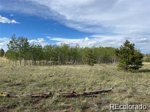 1599 Campfire Road Hartsel, CO 80449 - Photo 2 of 39 Gallery Image 2