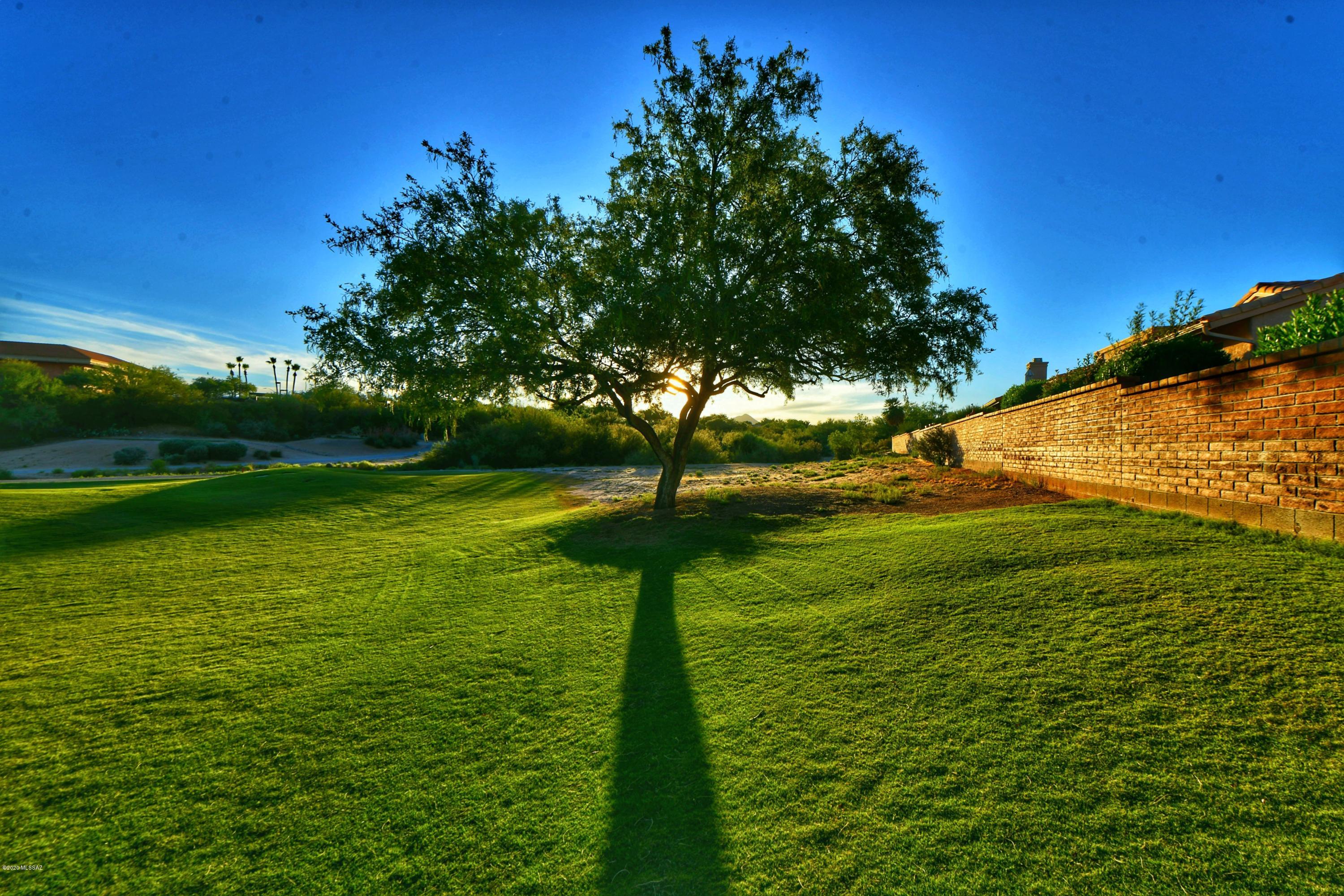 14283 North Copperstone Drive Oro Valley, AZ 85755 - Photo 6 of 42