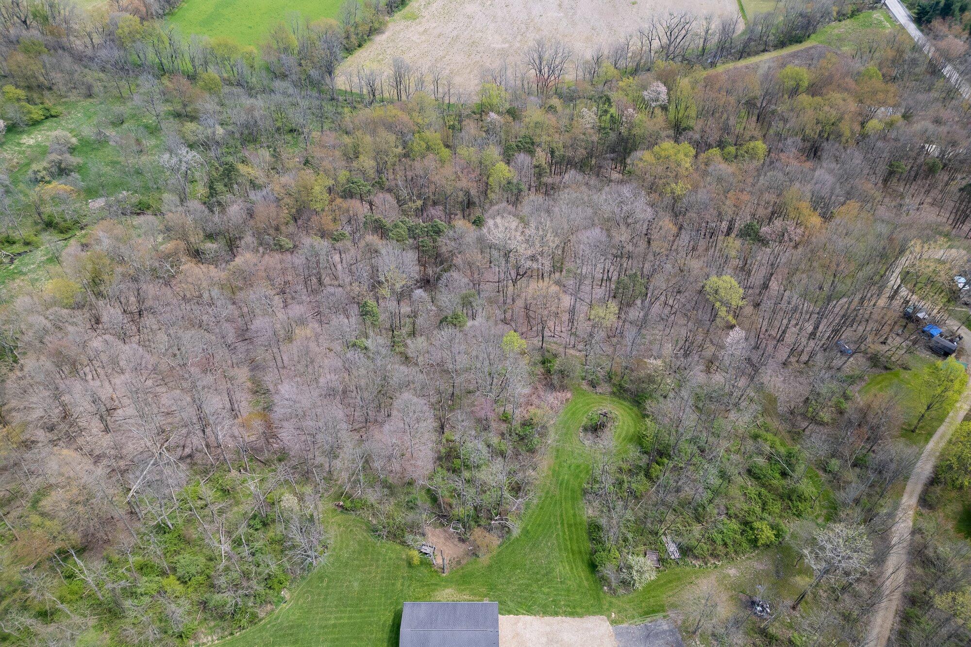 1225 Pleasant Valley Road Mansfield, OH 44903 - Photo 90 of 96 18-aer-wooded-area-2