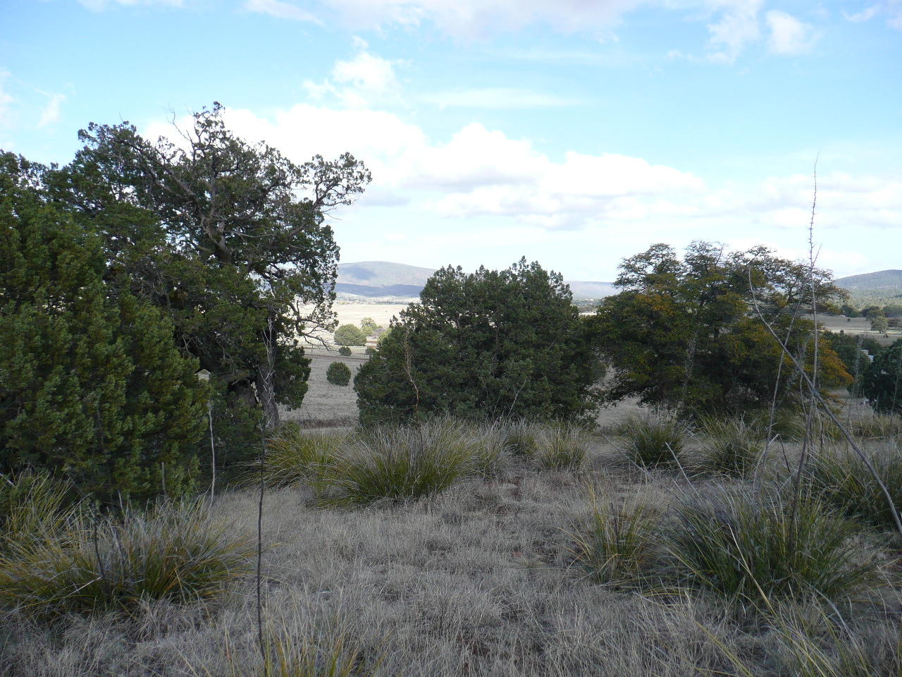 478 Rolling Hills Road Young, AZ 85554 - Photo 4 of 20
