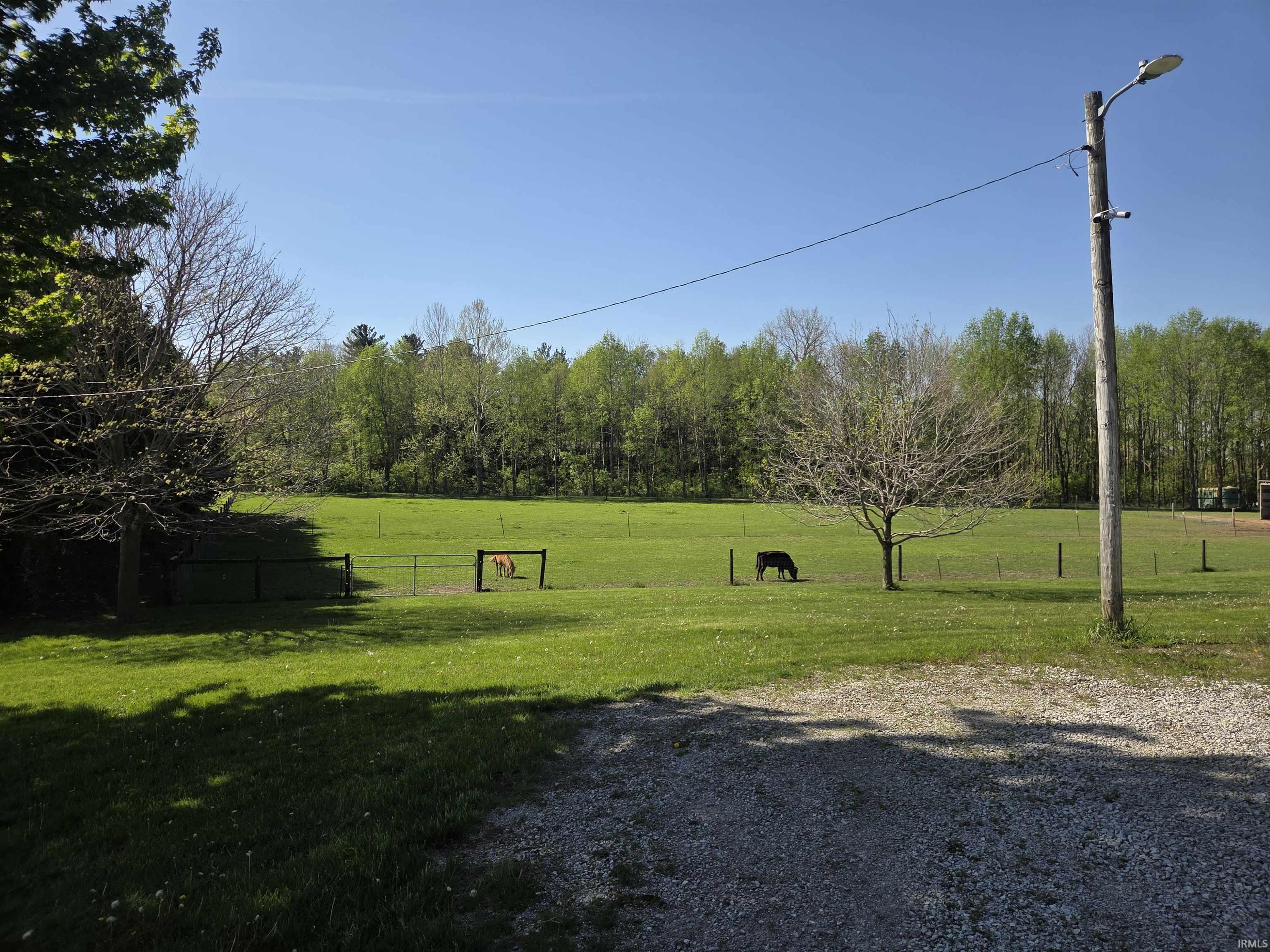 382 Highway 421 Delphi, IN 46923 - Photo 4 of 10