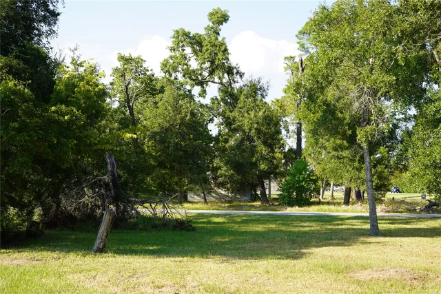 a view of a park with large trees