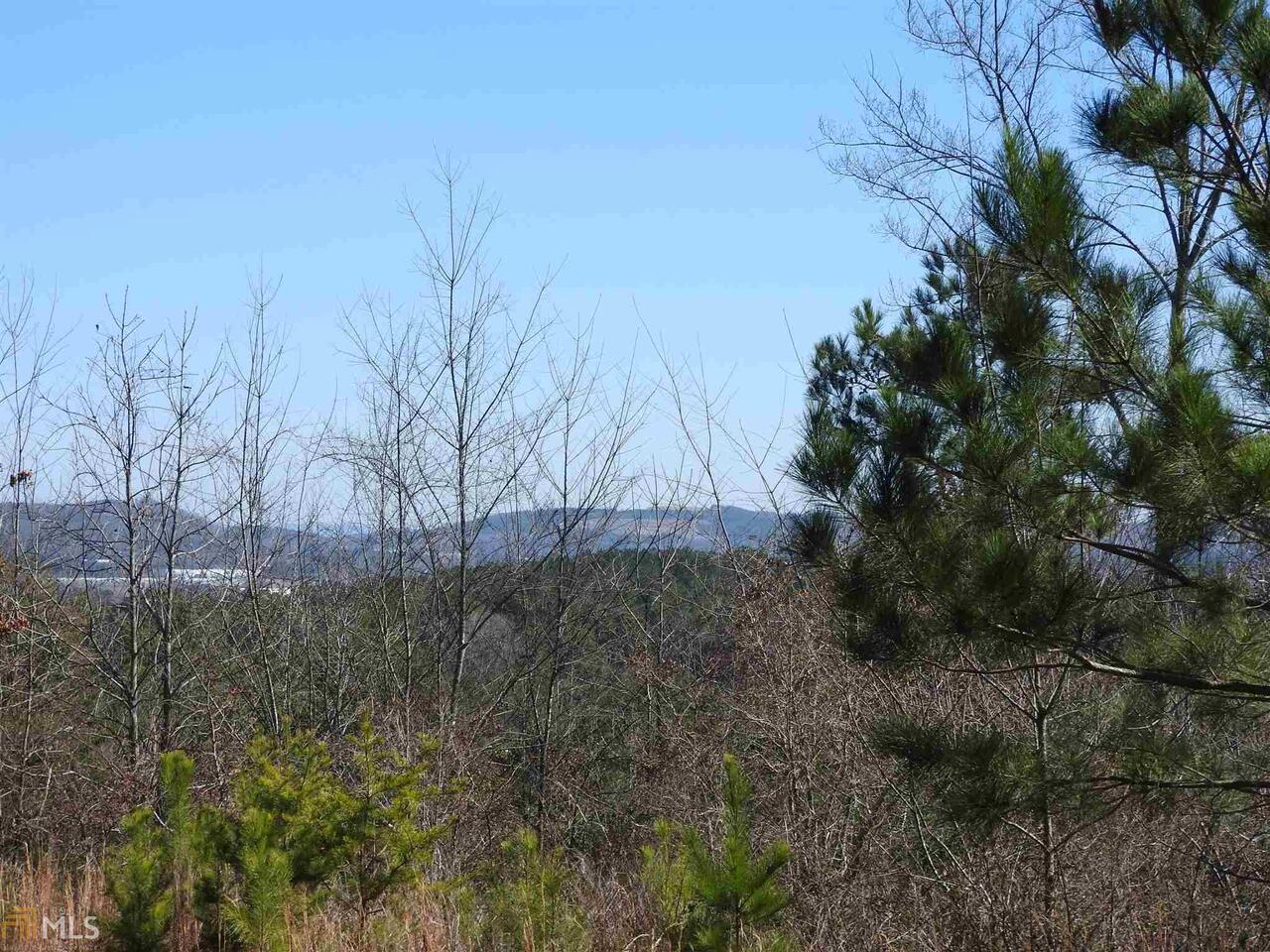0 Shake Rag Circle, Unit 9519 Adairsville, GA 30103 - Photo 1 of 1 Gallery Image 1