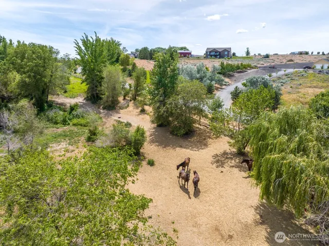 a view of a yard with an trees