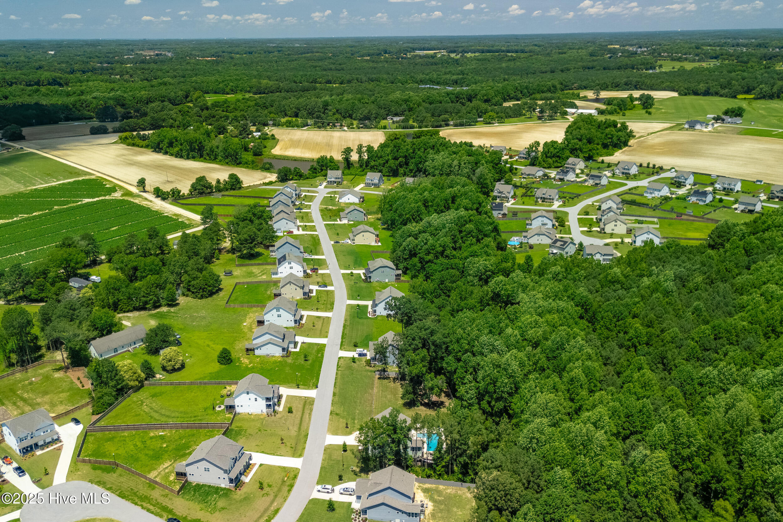 8341 Running Fern Way Willow Spring, NC 27592 - Photo 67 of 69 8341runningfernway-drone-10