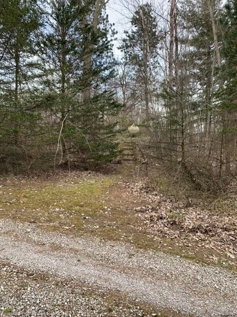 10453 Sheridan Road Millington, MI 48746 - Photo 46 of 49 703D8499-4DF0-4524-A5D4-0A90D0418F13.jpeg