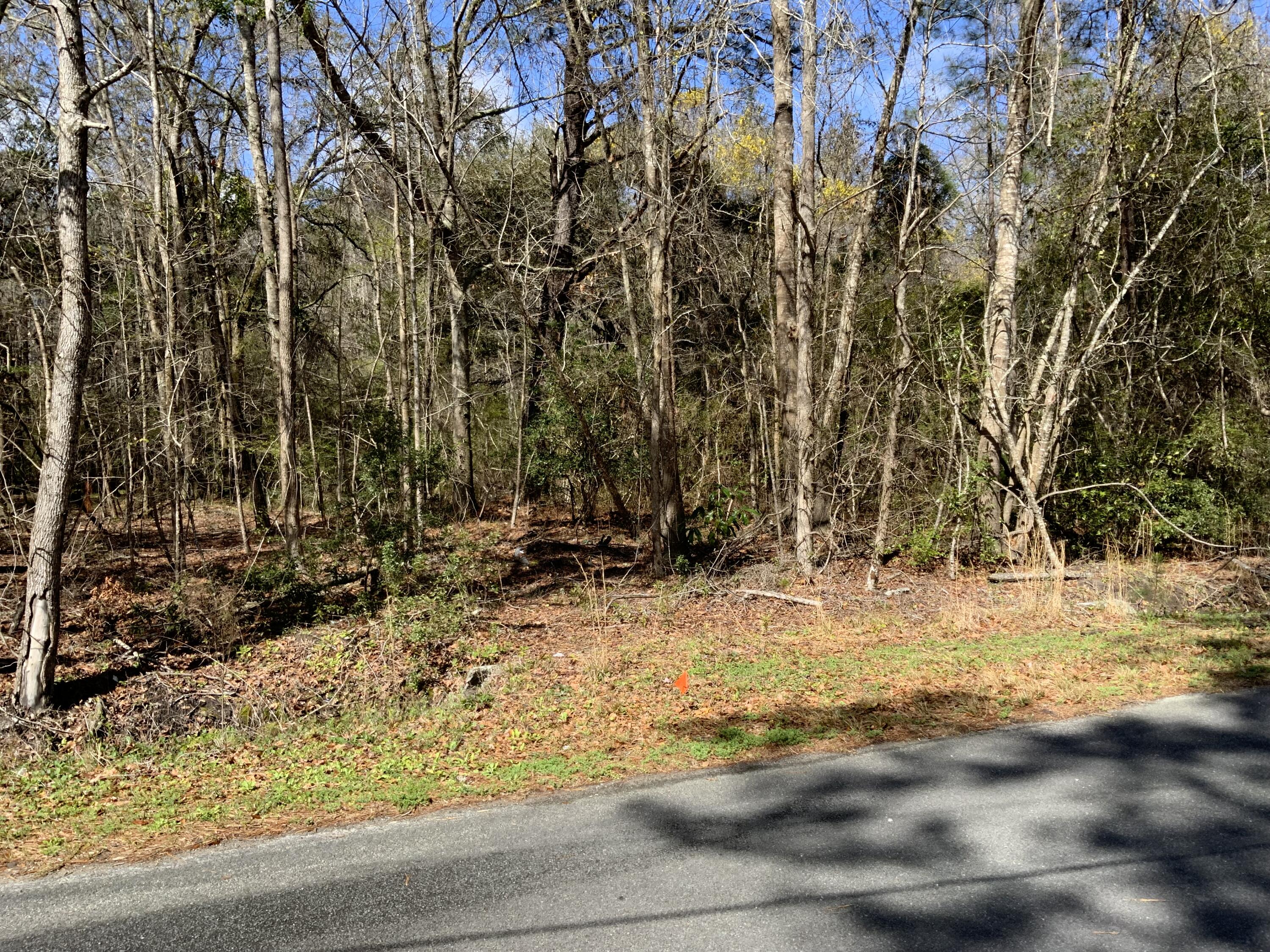 5037 Dr Taylor Road Hollywood, SC 29449 - Photo 2 of 4 IMG_1091 (1)