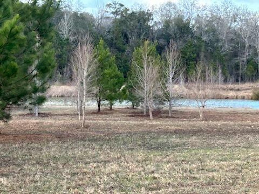 301 Crimson Road Cowarts, AL 36321 - Photo 6 of 9