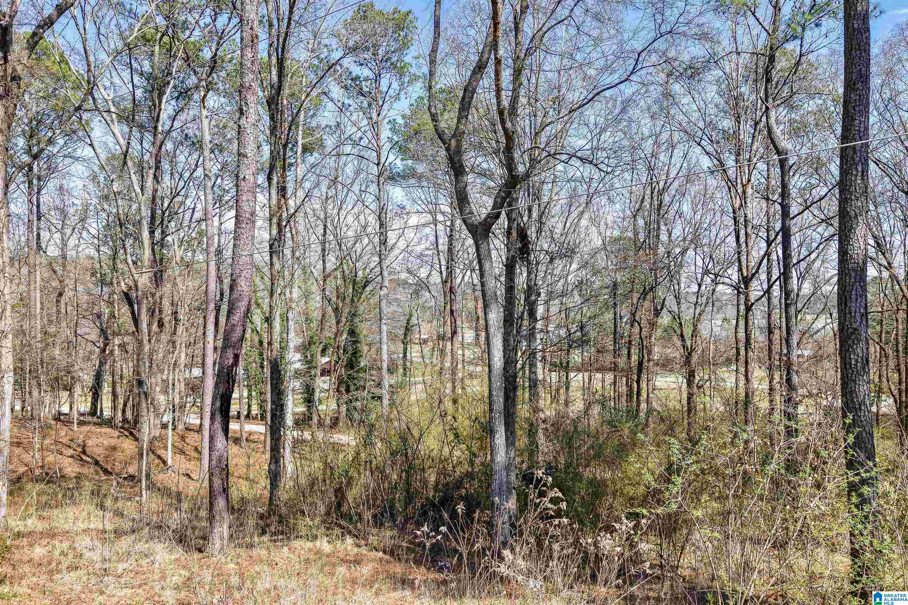 148 Shelby Motel Road Shelby, AL 35143 - Photo 38 of 46