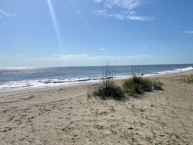 1602 Jungle Road Edisto Island, SC 29438 - Photo 20 of 35 1602 Jungle 21