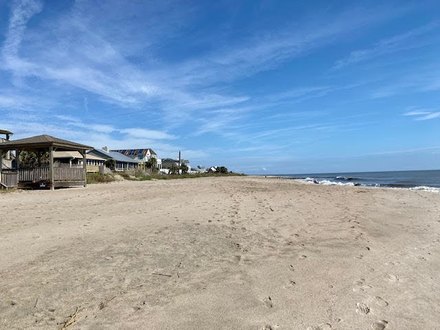 1602 Jungle Road Edisto Island, SC 29438 - Photo 21 of 35 1602 Jungle 22