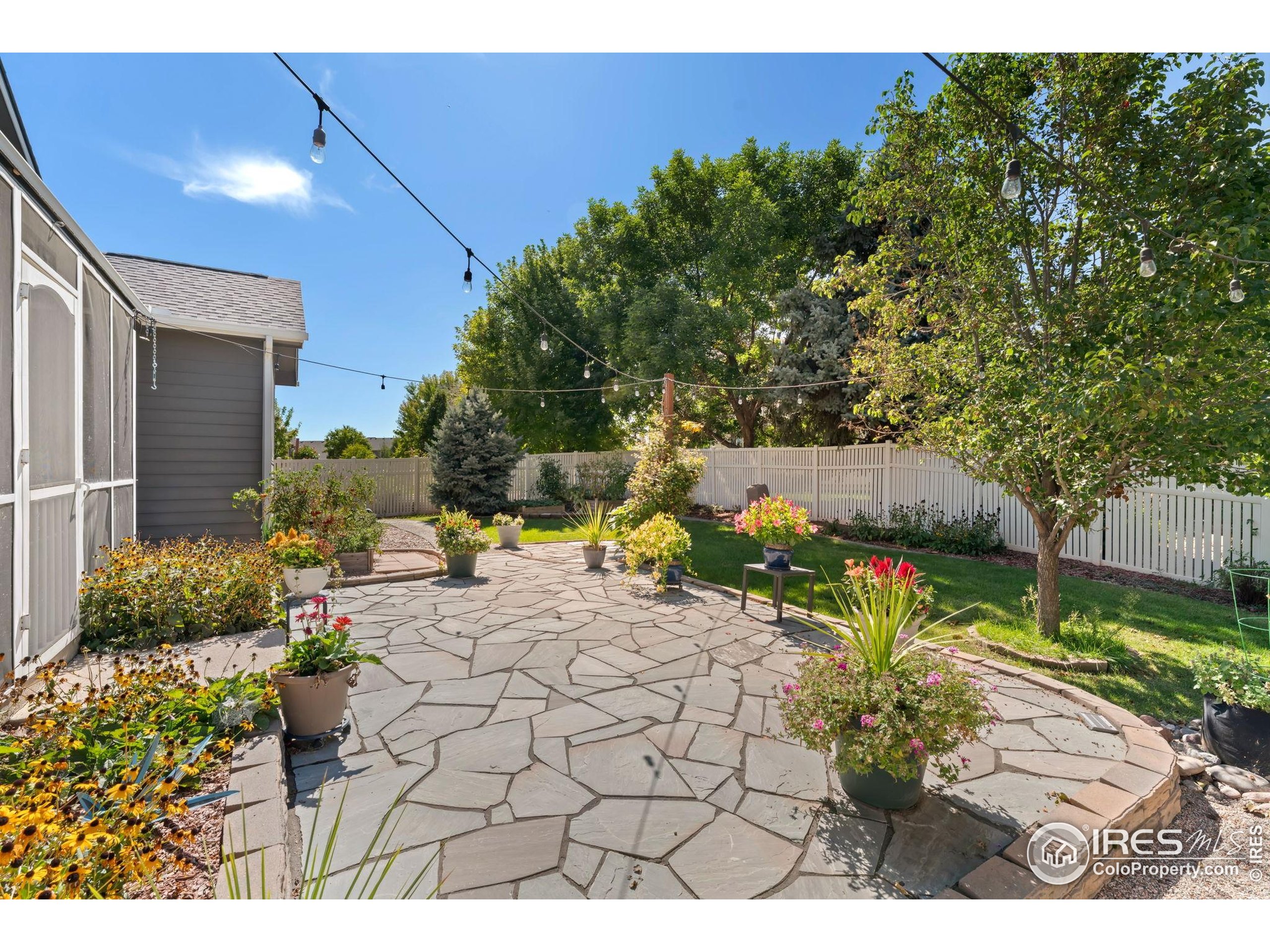 11449 Coal Ridge Street Firestone, CO 80504 - Photo 11 of 33