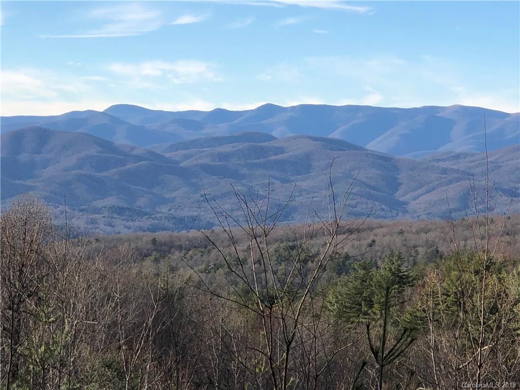 10 Fox Tower Road, Unit TR10B Brevard, NC 28712 - Photo 1 of 11 Gallery Image 1