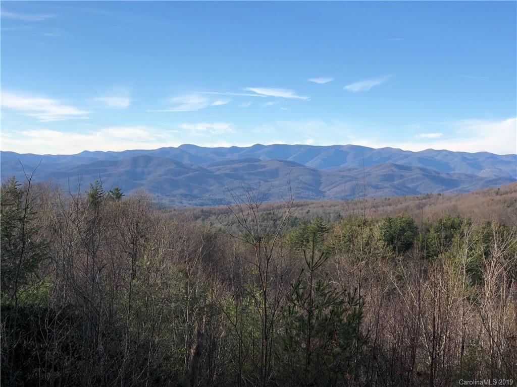 10 Fox Tower Road, Unit TR10B Brevard, NC 28712 - Photo 2 of 11 Gallery Image 2