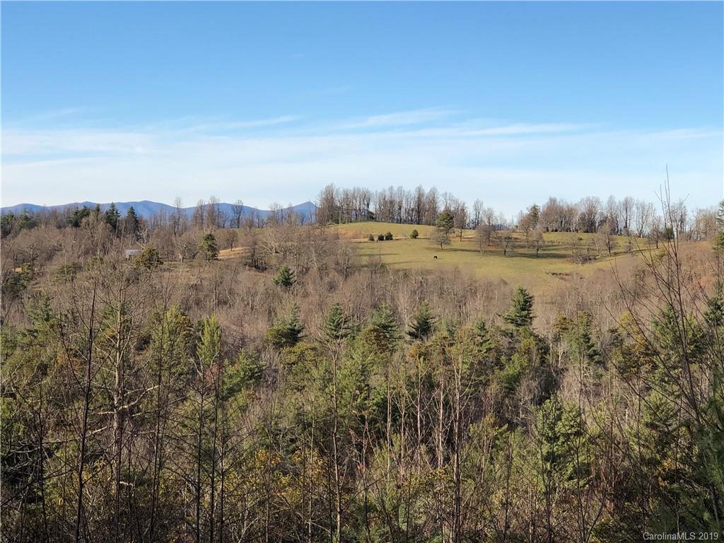 10 Fox Tower Road, Unit TR10B Brevard, NC 28712 - Photo 3 of 11 Gallery Image 3
