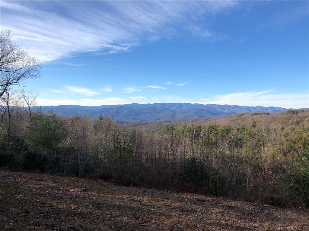 10 Fox Tower Road, Unit TR10B Brevard, NC 28712 - Photo 4 of 11 Gallery Image 4