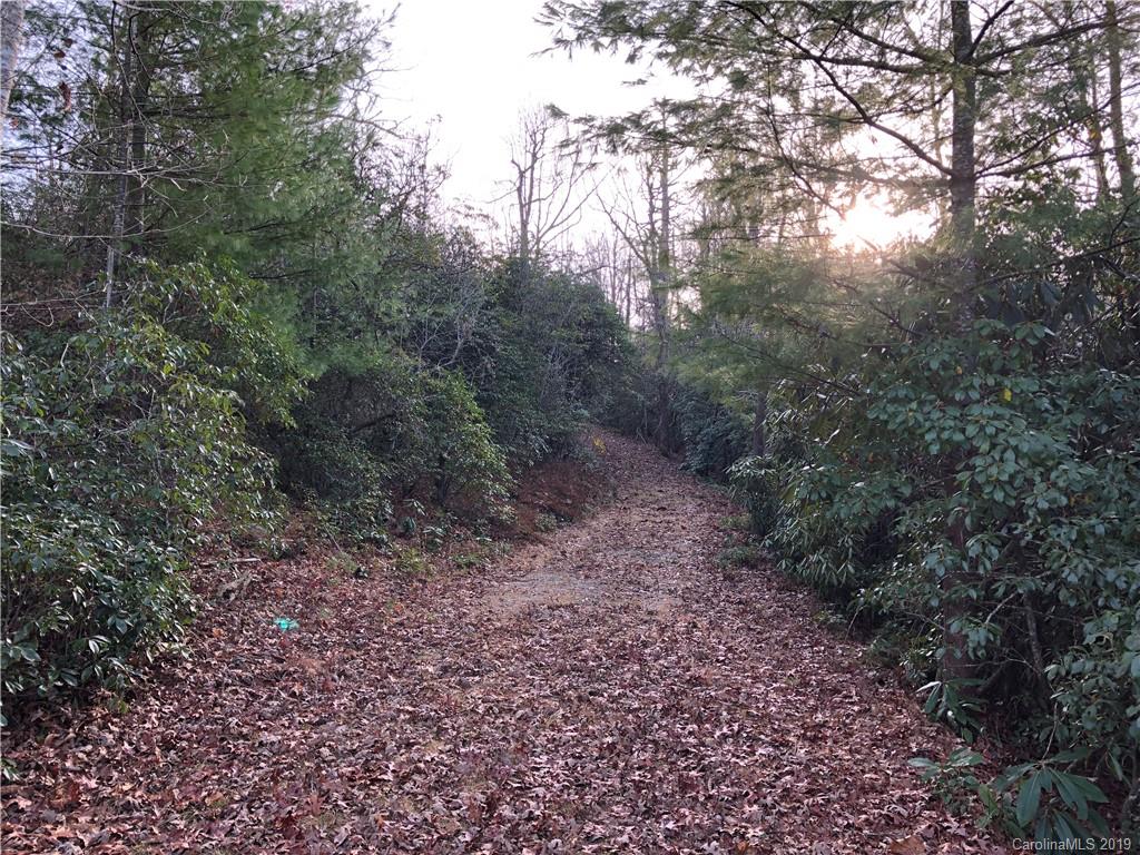 10 Fox Tower Road, Unit TR10B Brevard, NC 28712 - Photo 5 of 11 Gallery Image 5