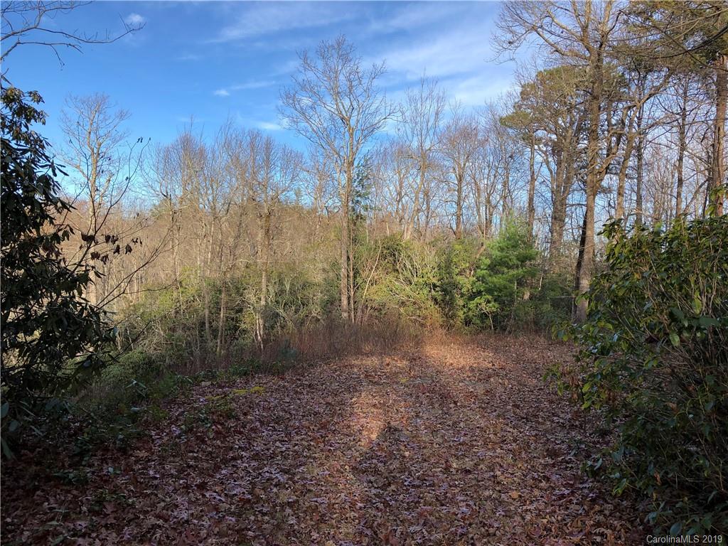 10 Fox Tower Road, Unit TR10B Brevard, NC 28712 - Photo 6 of 11 Gallery Image 6