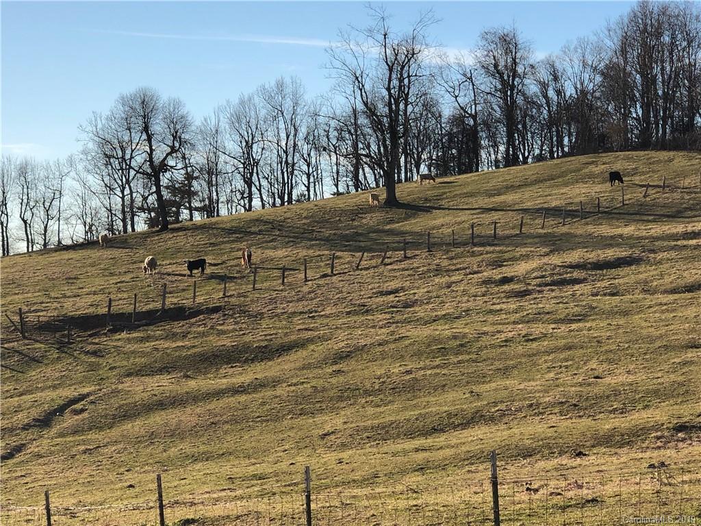 10 Fox Tower Road, Unit TR10B Brevard, NC 28712 - Photo 10 of 11 Gallery Image 10