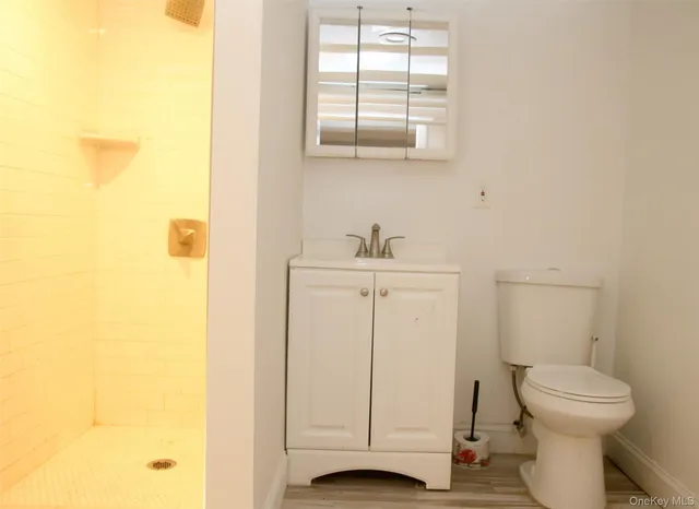 a bathroom with a sink and a toilet