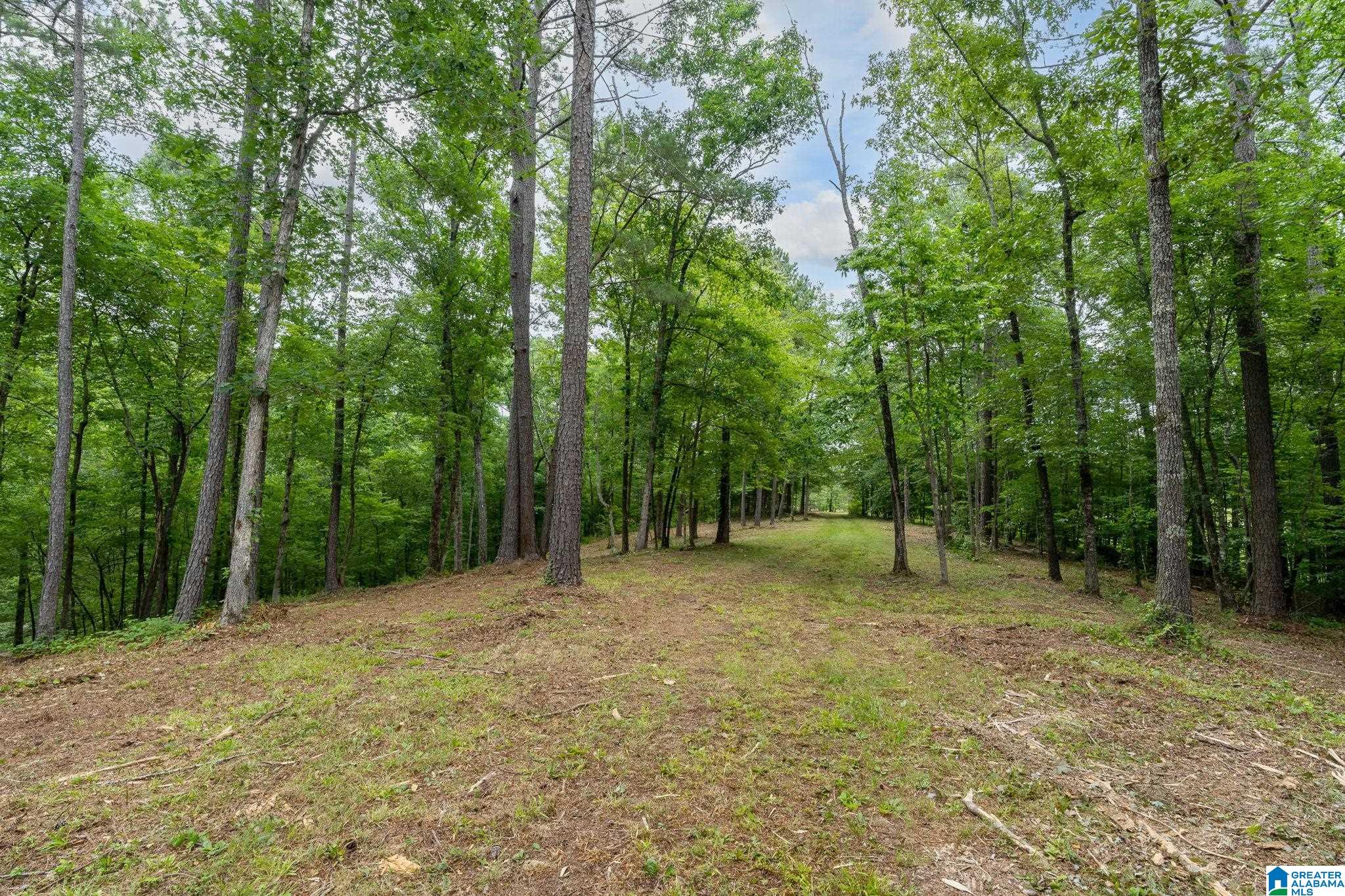 174 Martin Lane, Unit 1A Helena, AL 35080 - Photo 5 of 19