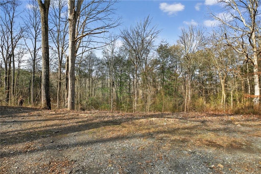 256 Astin Creek Road Villa Rica, GA 30180 - Photo 34 of 38 a backyard of a house with lots of green space