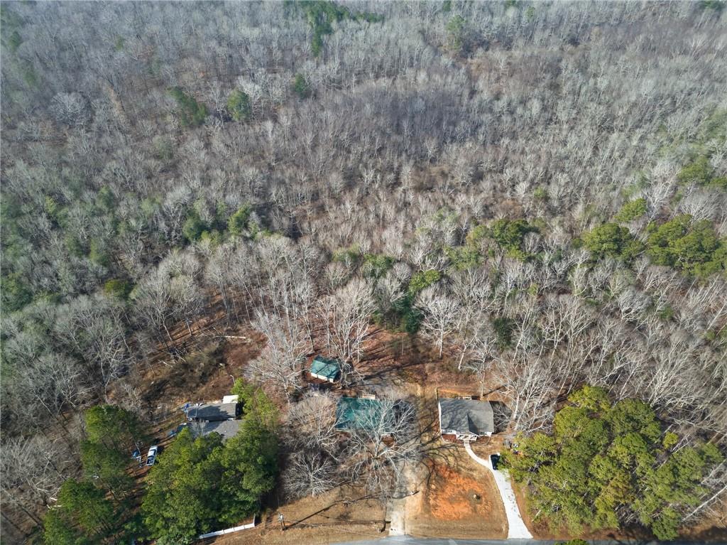 256 Astin Creek Road Villa Rica, GA 30180 - Photo 38 of 38 a view of a yard