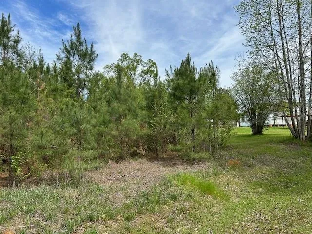 $75,000 | 0 Beeson Drive, Ball, LA 71405