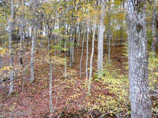 1408 Cardwell Road Harrodsburg, KY 40330 - Photo 2 of 17 Loaded with deer and turkey!!