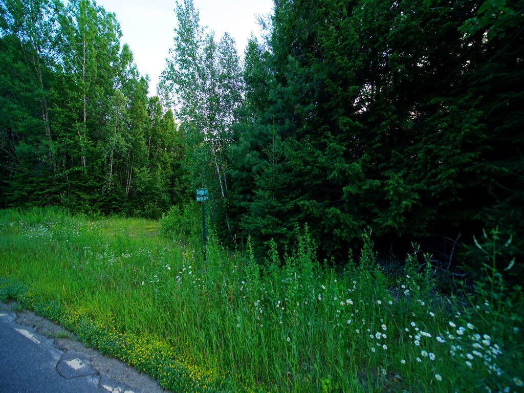 Lot 5 Route 171 Road Wytopitlock, ME 04497 - Photo 17 of 29 drew-land-koz-4