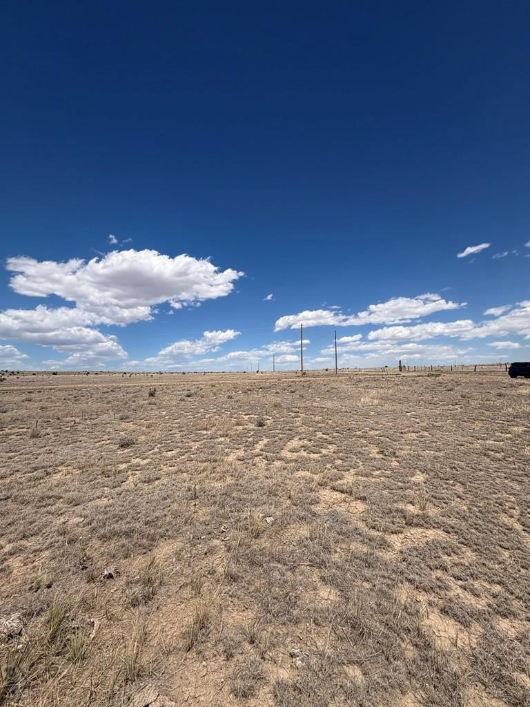 222-224 Turkey Ridge Ranch Walsenburg, CO 81089 - Photo 7 of 13