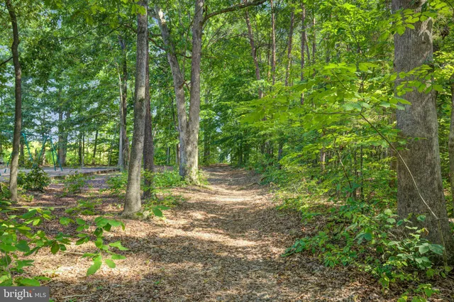 a view of a yard with a trees