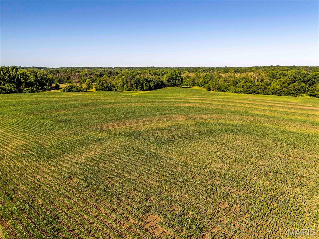 0 County 455 Road New Franklin, MO 65274 - Photo 59 of 67