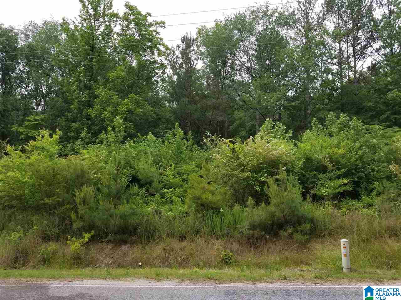 0 Rocky Hollow Road, Unit 12 Jacksonville, AL 36265 - Photo 3 of 15