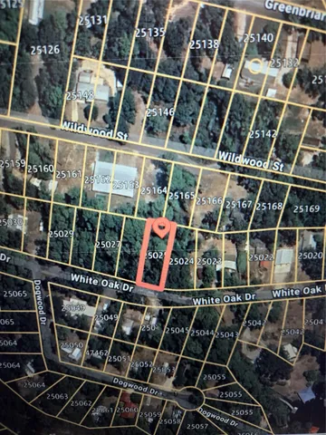 $20,000 | 237 White Oak Drive, Burkeville, TX 75932