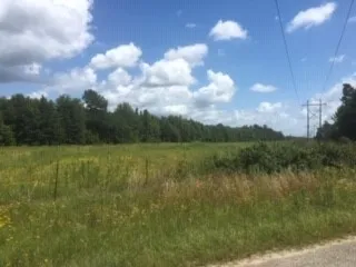 a close up view of a backyard