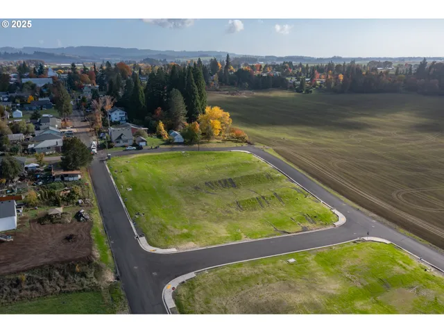 a view of road and grass