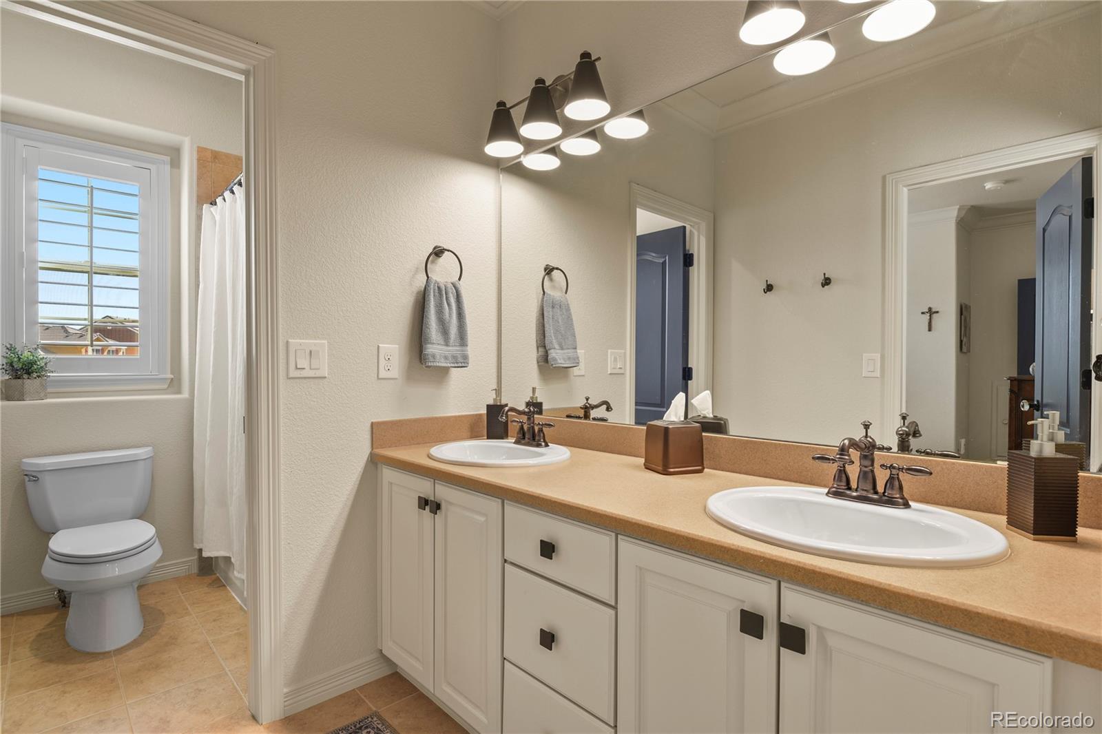10828 Valleybrook Circle Highlands Ranch, CO 80130 - Photo 25 of 32 Gallery Image 25