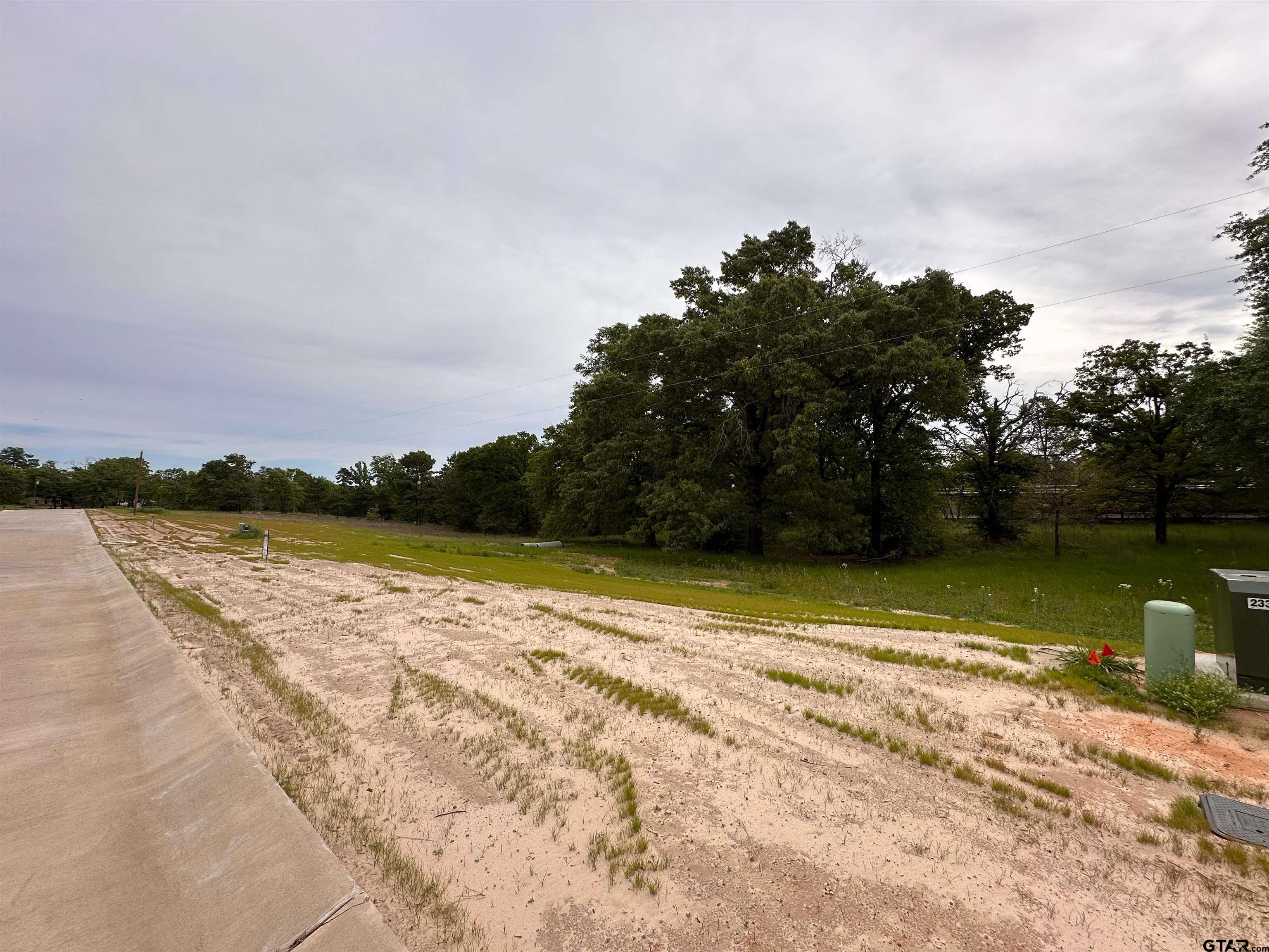 16918 Sawyer Way Lindale, TX 75771 - Photo 2 of 4 a view of a lake