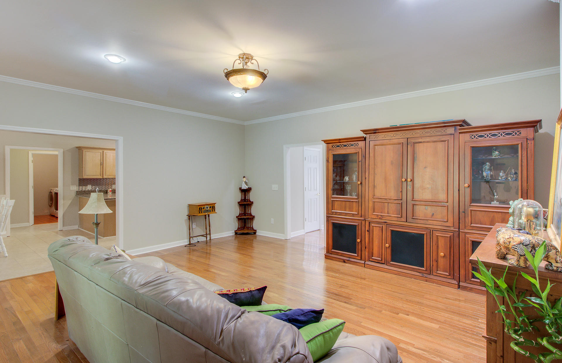 8667 Parkers Ferry Road Adams Run, SC 29426 - Photo 13 of 48 13